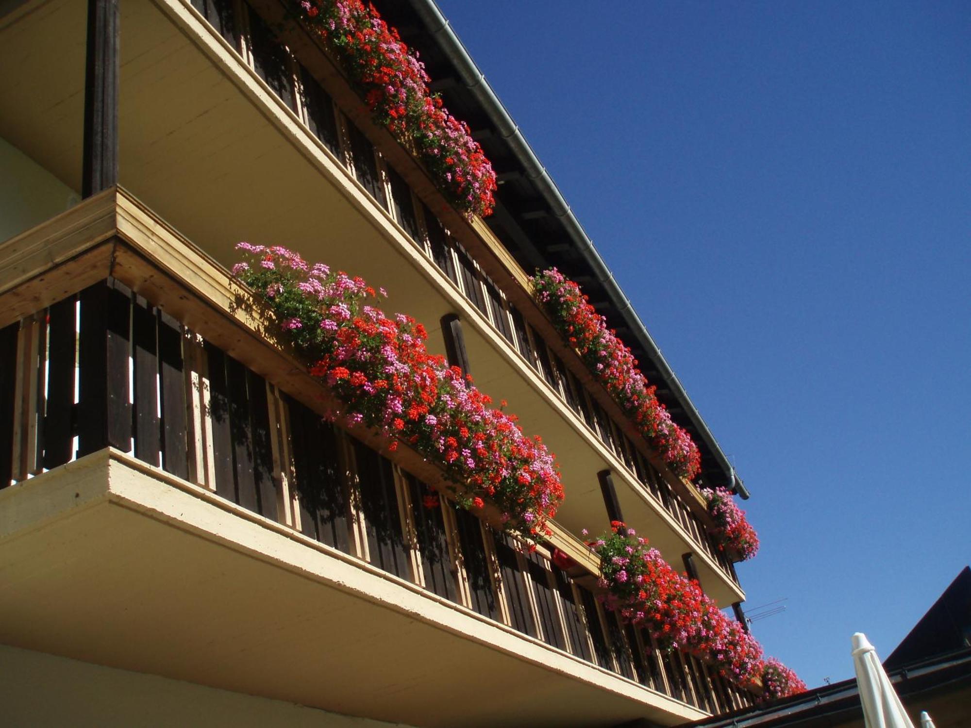 فندق Laerchenhof سانكت جاكوب ان ديفر المظهر الخارجي الصورة